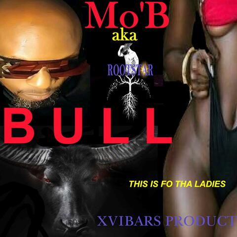BULL