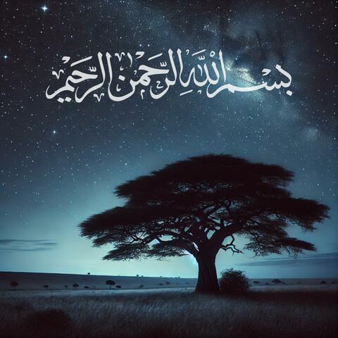 Surah Selections 13
