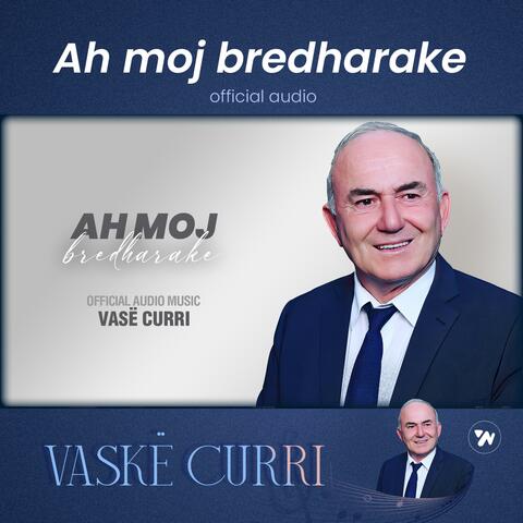 Ah moj bredharake