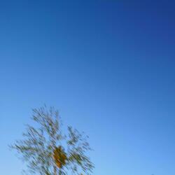 MADISON (feat. 29hundrrd)