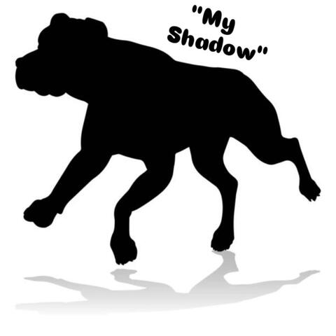 My Shadow
