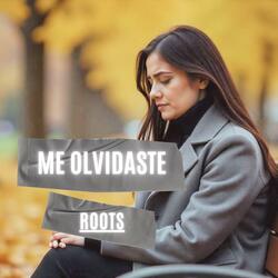 me olvidaste