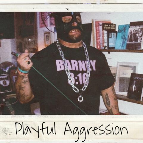 Playful Aggression