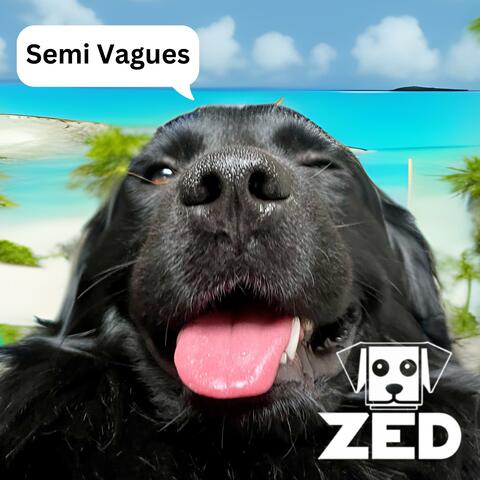 Semi Vagues