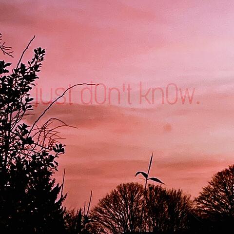 just d0n't kn0w.