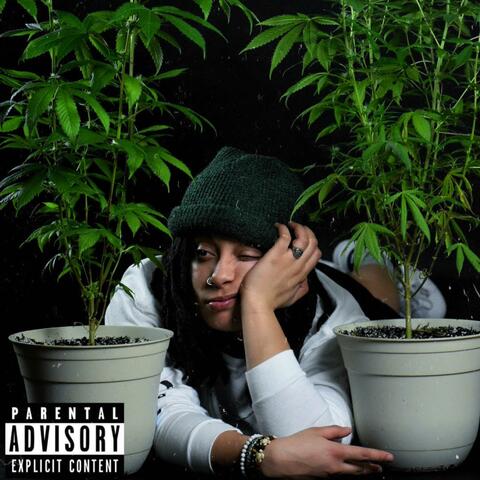 "Well...Damn": The Poetry Album