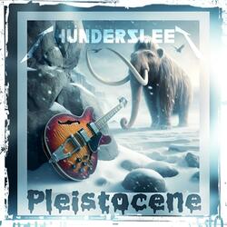 Pleistocene