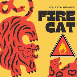 Fire Cat
