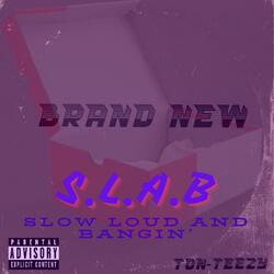 Brand New (slowed)