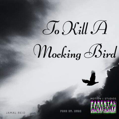 To Kill a Mocking Bird