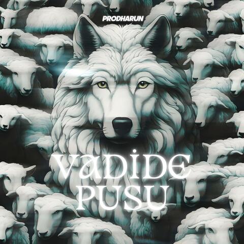 Vadide Pusu (Special Version)