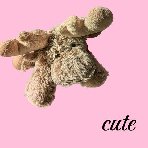 cute
