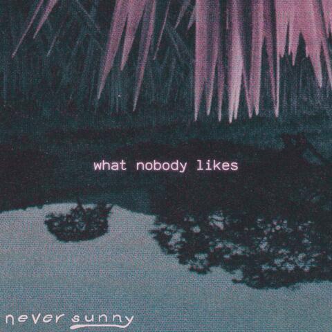 what nobody likes