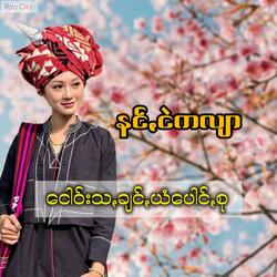 ငါ့အကြောင်းနဲ့ငါ့ကံ - နန်းငဲကလျာ