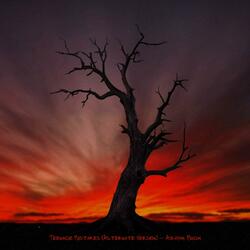 Teenage Mistakes (Alternate Version)