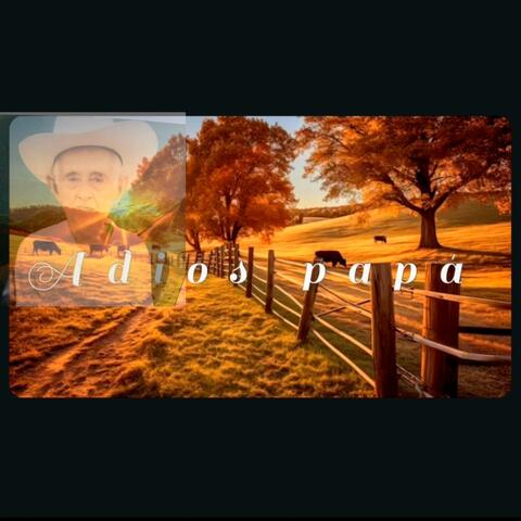 Adios papá