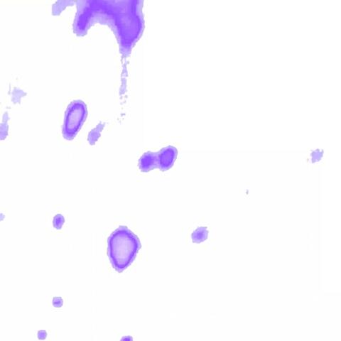 Liquid.Mirrors