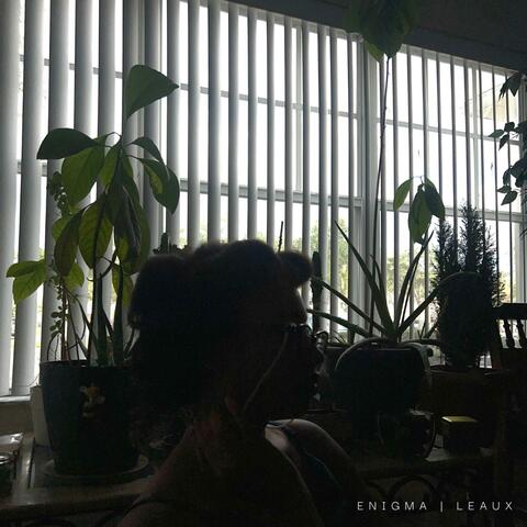 Supposed (Interlude )