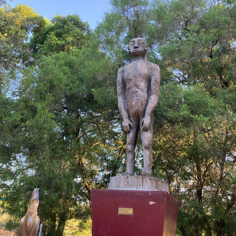 Kilcoy Yowie