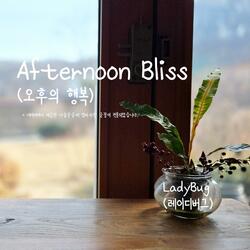 Afternoon Bliss