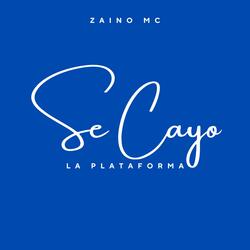 SE CAYO LA PLATAFORMA