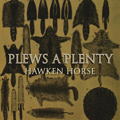 Plews A'Plenty