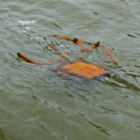 J'ai jeté à l'eau tous mes poèmes