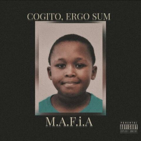 Cogito Ergo Sum
