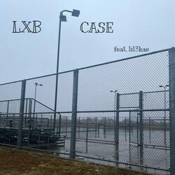 Case