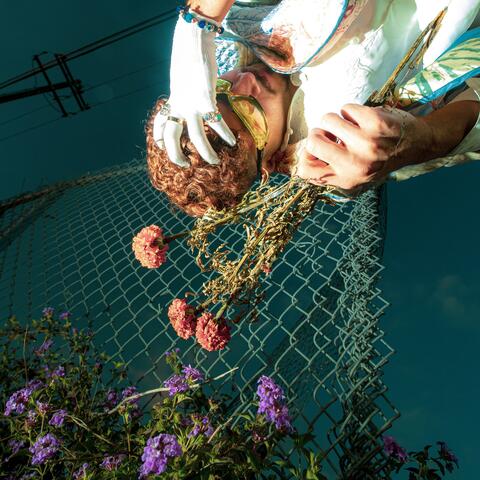 everyday (slowed ⋆˙⟡ reverbed)