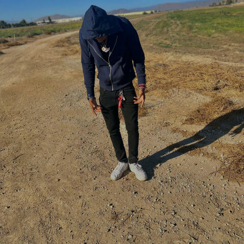 Fake love