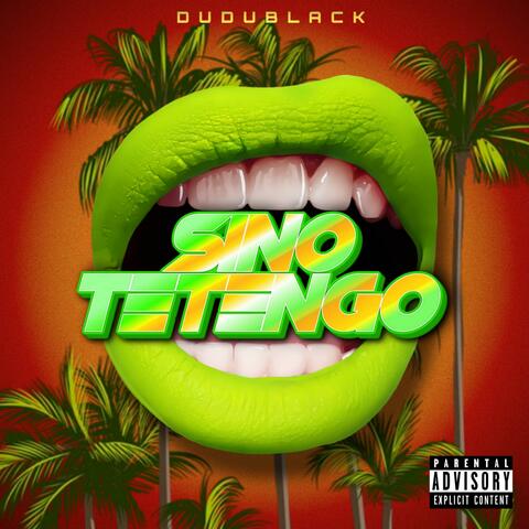 SiNo TeTengo