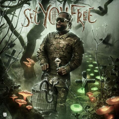 Set You Free