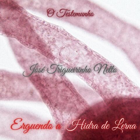 Erguendo a Hidra de Lerna (feat. José Trigueirinho Netto)