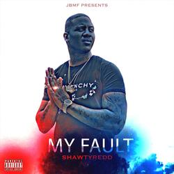 My fault