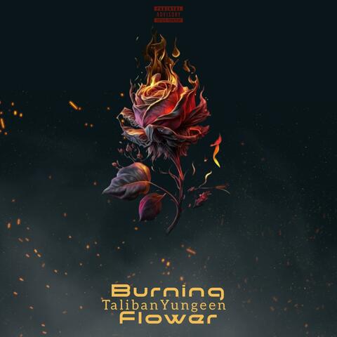 Burning Flower