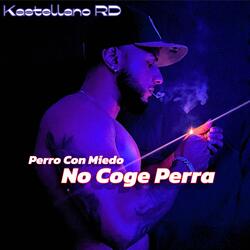Perro Con Miedo No Coge Perra