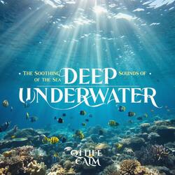 The Soothing Sounds of the Sea • Deep Underwater