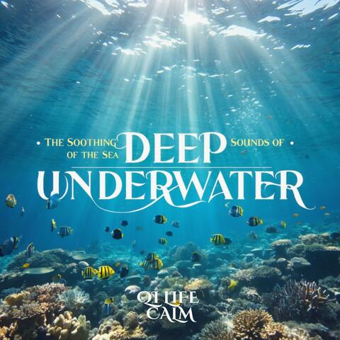 The Soothing Sounds of the Sea • Deep Underwater
