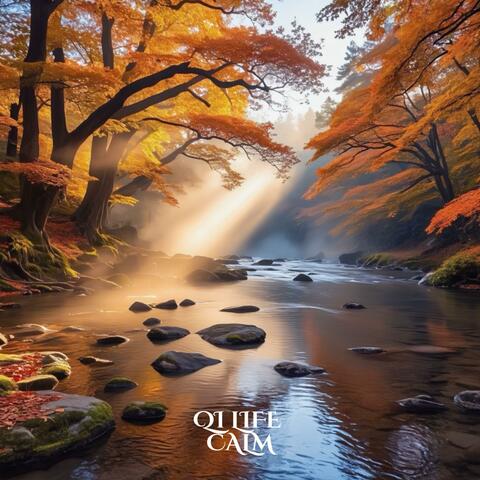 Autumn Forest / River Relaxing Sound