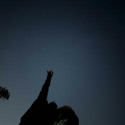 Wanna Let Go