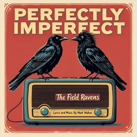 Perfectly Imperfect