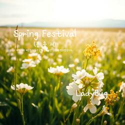 Spring Festival