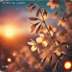 Aromas de Jazmin