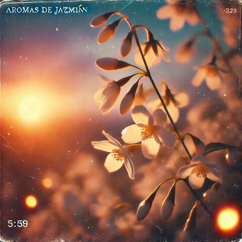 Aromas de Jazmin
