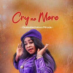 Cry No More