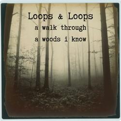 understanding less and less
