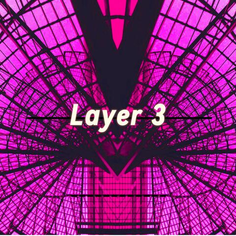 Layer 3