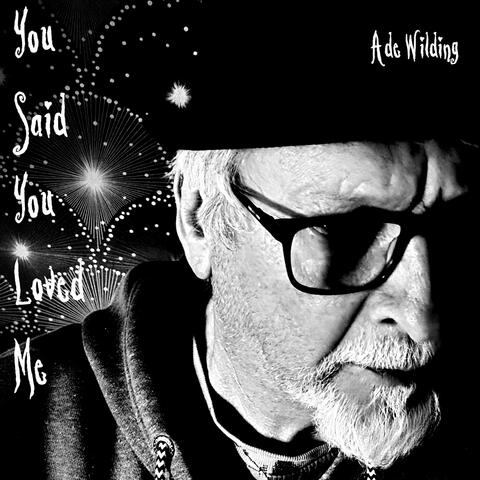 You Said You Loved Me