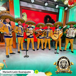 Coqueta (Version Mariachi)